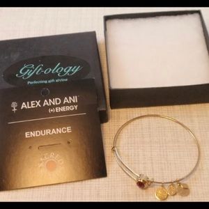 Alex and Ani Chakra Bracelet